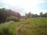 Кам'янка з panoramio.com