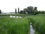 Протопопівка з panoramio.com