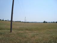 Циблі з panoramio.com