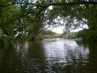 Чечеліївка з panoramio.com