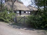 Теофілівка з panoramio.com