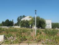 Нижні Сірогози з panoramio.com