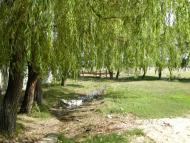 Новопавлівка - Останні фото