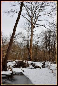 Білогорівка з panoramio.com