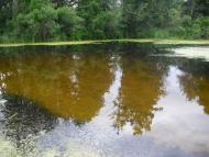 Перекопівка з panoramio.com