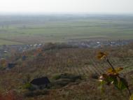 Виноградів з panoramio.com