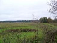 Баничі - Останні фото