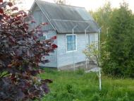 Снятинка з panoramio.com