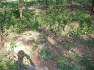 Соловка з panoramio.com