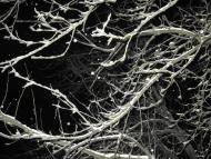 Іванопіль з panoramio.com