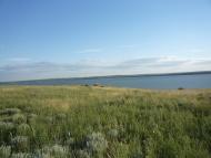 Протопопівка з panoramio.com
