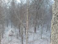 Омельник з panoramio.com