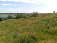 Калинове з panoramio.com