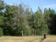 Хрипськ з panoramio.com