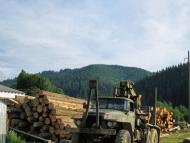 Долішній Шепіт - Останні фото