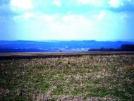 Ванчиківці з panoramio.com