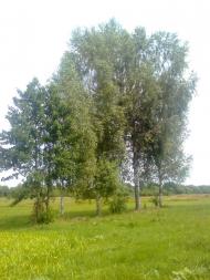 Жихове з panoramio.com
