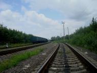 Нігин з panoramio.com