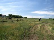 Ракове з panoramio.com