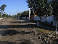 Strilsk - Latest photos