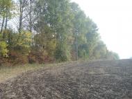 Олешин з panoramio.com