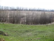 М'якеньківка з panoramio.com