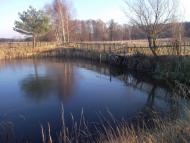 Піддеревенка з panoramio.com