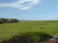 Хрящувате з panoramio.com