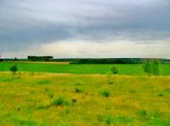 Неморож з panoramio.com