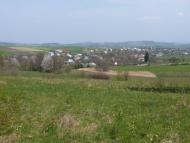 Трушевичі з panoramio.com