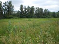 Юганівка - Останні фото