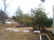 Теплик з panoramio.com