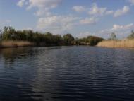 Комар - Останні фото