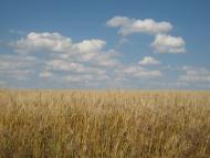 Інгулка з panoramio.com