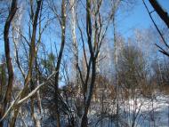 Мохначі з panoramio.com