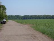 Медувата з panoramio.com