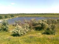 Калинове з panoramio.com