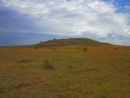 Каштани з panoramio.com