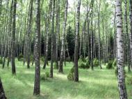 Михальчина-Слобода з panoramio.com