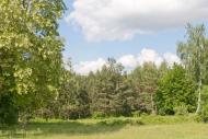 Мигалівці з panoramio.com