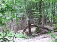 Гумниська з panoramio.com