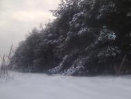 Штунь з panoramio.com