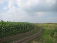 Аркушине з panoramio.com