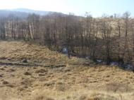 Бедевля з panoramio.com