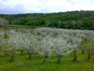 Поштове з panoramio.com