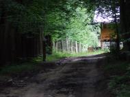 Гумниська з panoramio.com