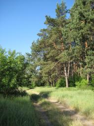 Курган з panoramio.com