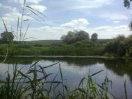 Кам'янка з panoramio.com