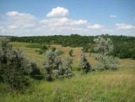 Інгулка з panoramio.com