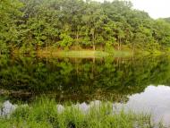 Зелений Гай з panoramio.com